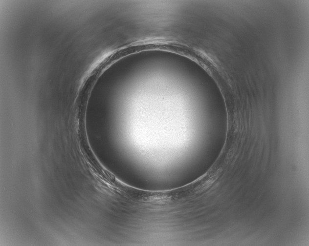 X0000056011406200509092100