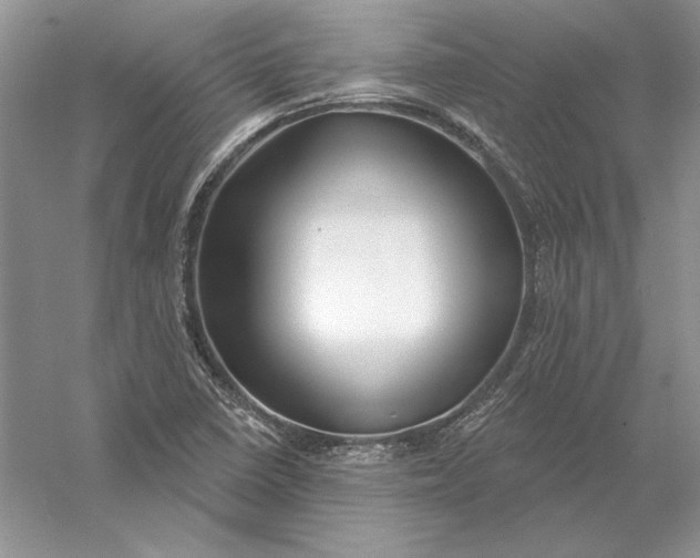X0000056011410200509092100