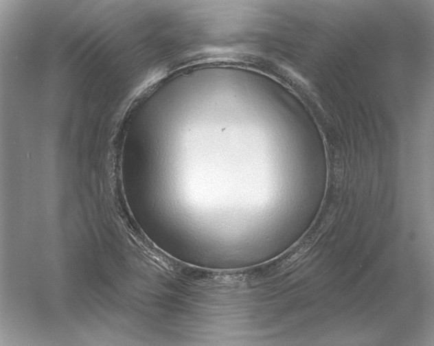 X0000056011411200509092100