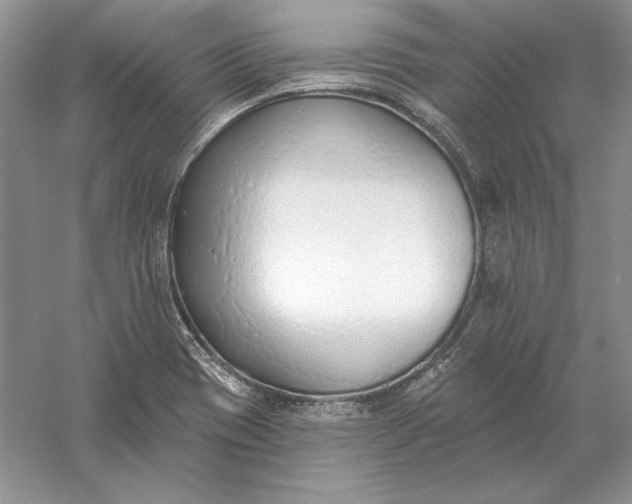 X0000056011417200509092100