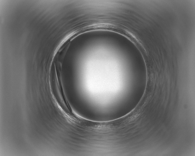 X0000056011418200509092100