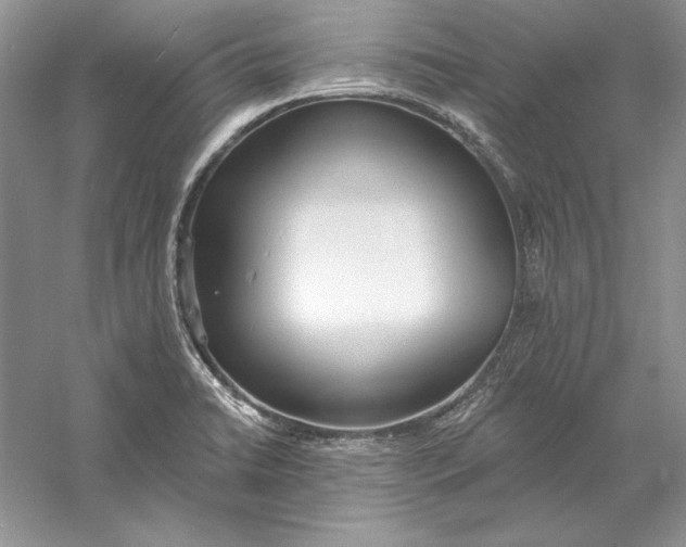 X0000056011422200509092100