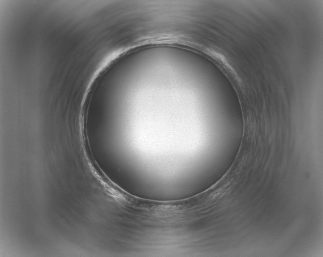 X0000056011424200509092100
