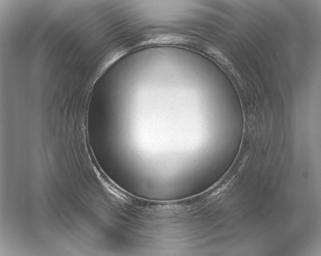 X0000056011425200509092100