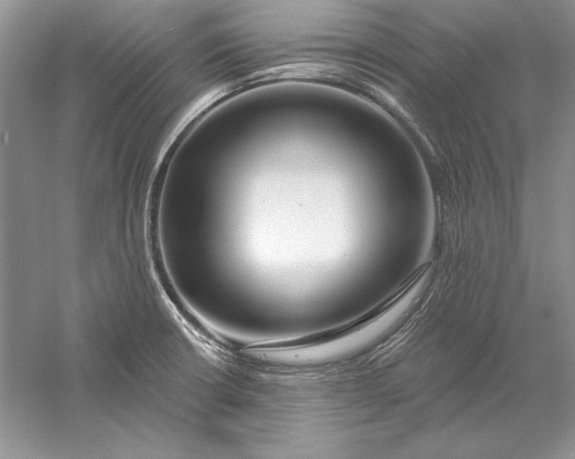 X0000056011426200509092100