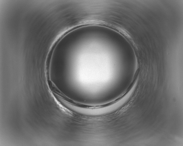 X0000056011430200509092100