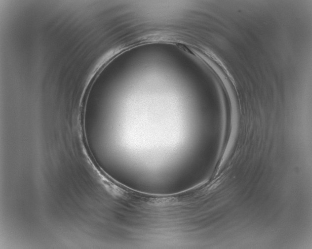X0000056011434200509092100