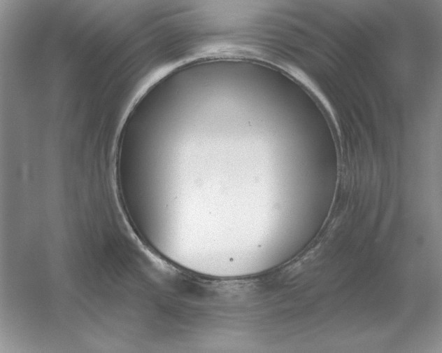 X0000056011437200509092100