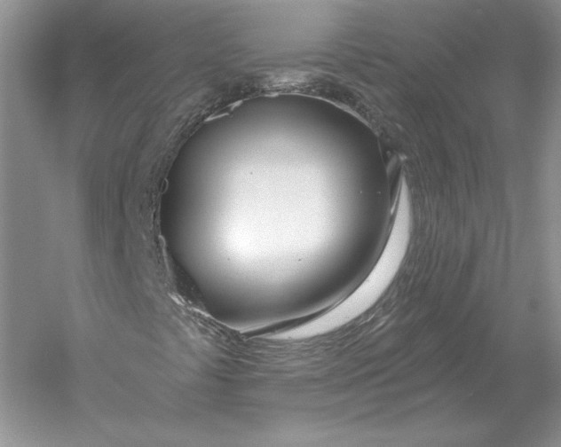 X0000056011441200509092059