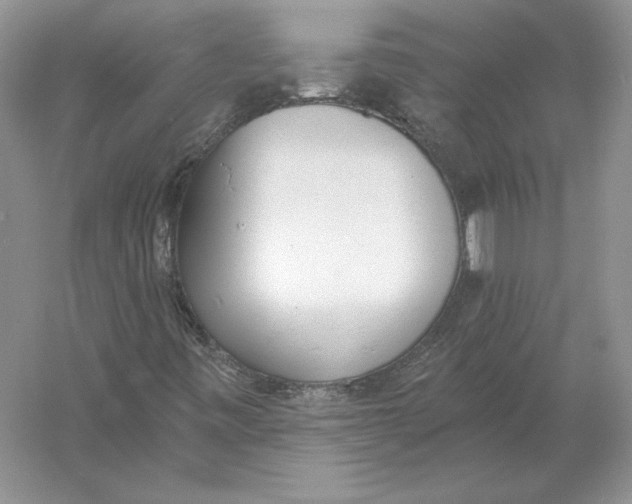 X0000056011443200509092059