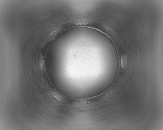 X0000056011444200509092059