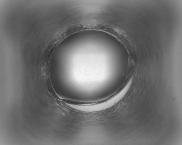 X0000056011445200509092059