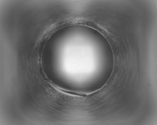 X0000056011447200509092059