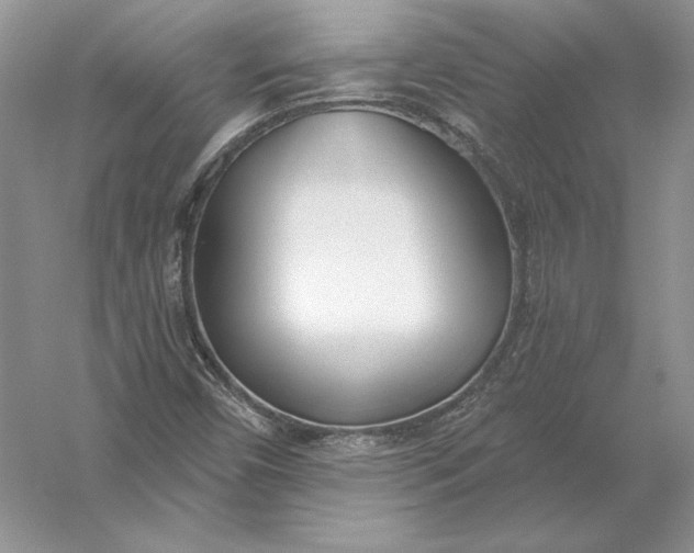 X0000056011450200509092059