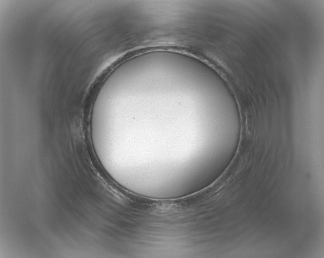 X0000056011452200509092059