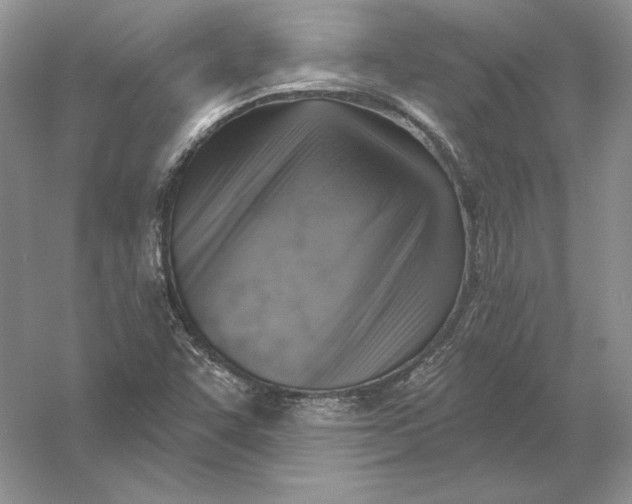 X0000056011455200509092059