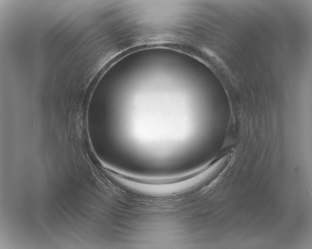 X0000056011457200509092059