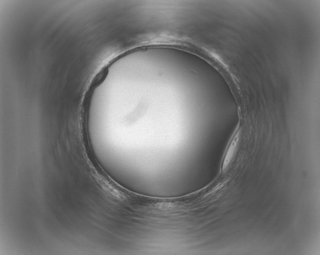 X0000056011463200509092059