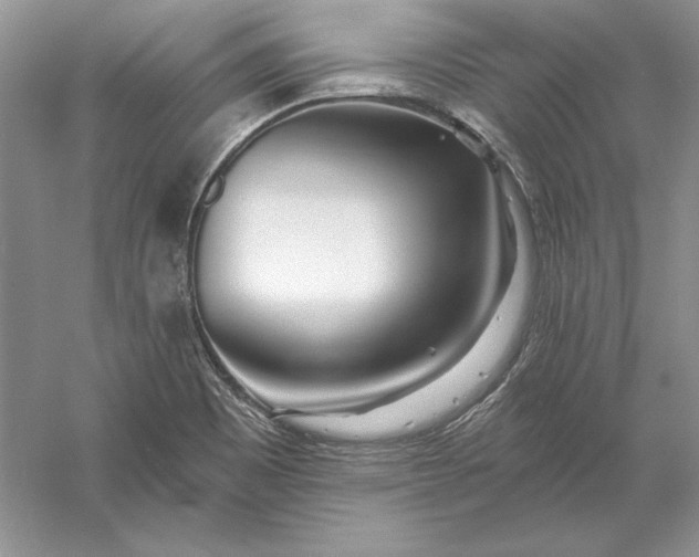 X0000056011465200509092059