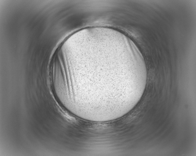 X0000056011470200509092059