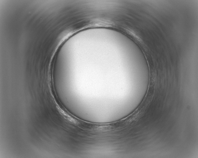 X0000056011471200509092059