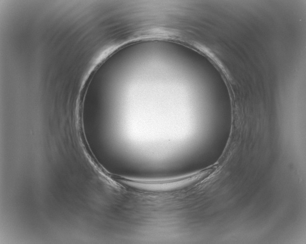 X0000056011477200509092059