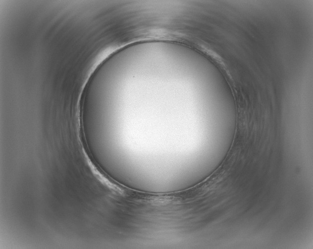 X0000056011479200509092059