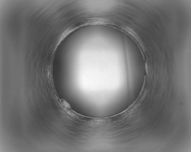 X0000056011481200509092059