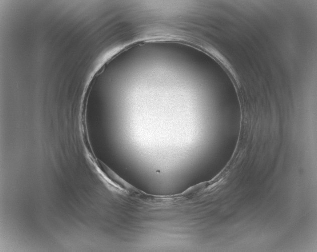 X0000056011485200509092059