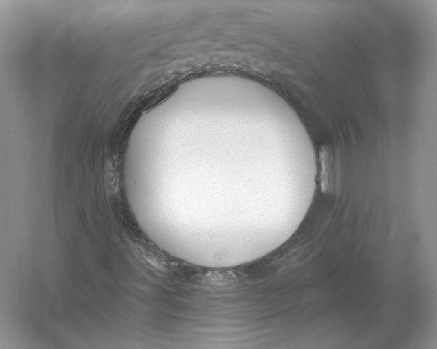 X0000056011491200509092058