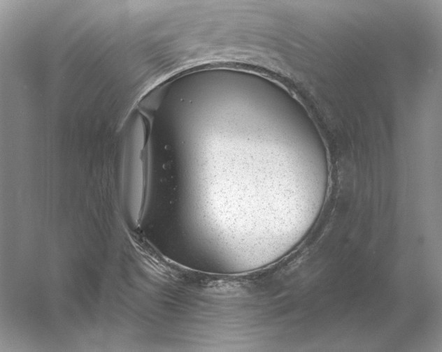 X0000056011505200509092058