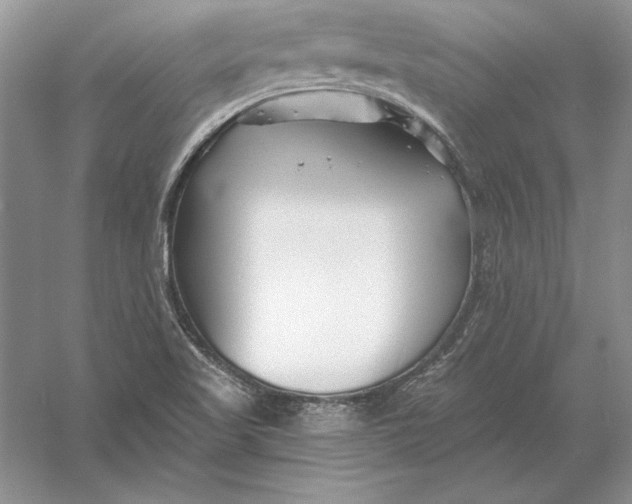 X0000056011509200509092058