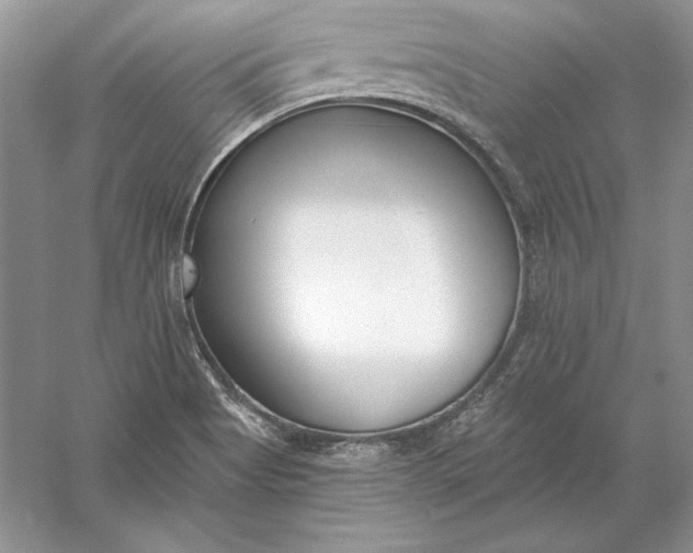 X0000056011513200509092058