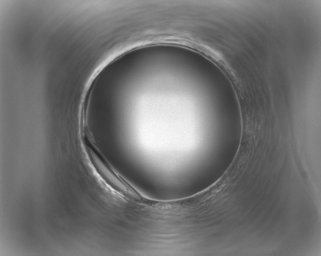 X0000056011520200509092058