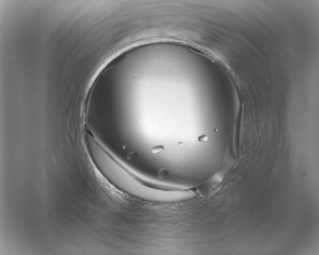 X0000056011524200509092058