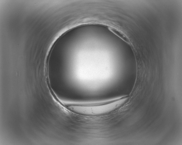 X0000056011527200509092058