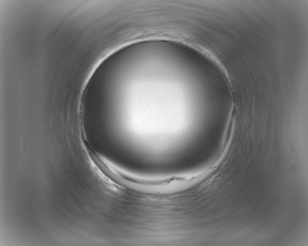 X0000056011532200509092059