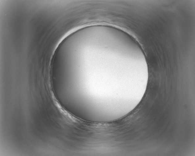 X0000056011534200509092059