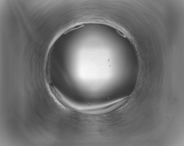 X0000056011536200509092059
