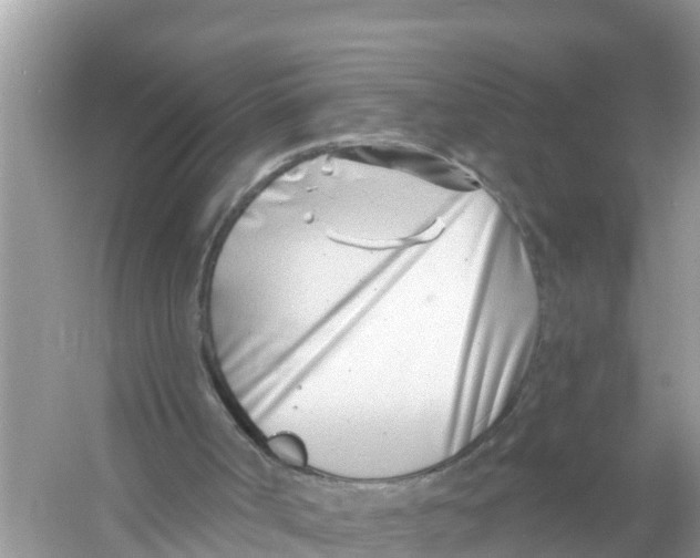 X0000056010002200509162356