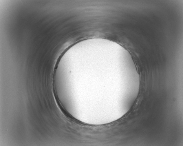 X0000056010003200509162356