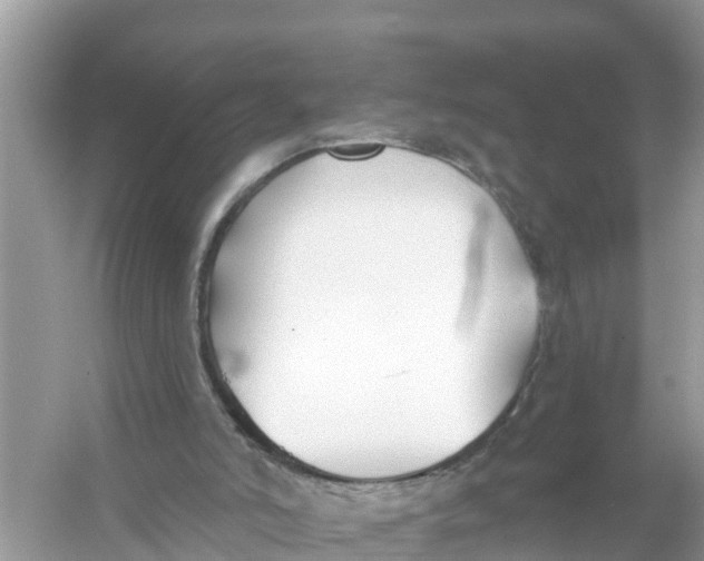 X0000056010006200509162356