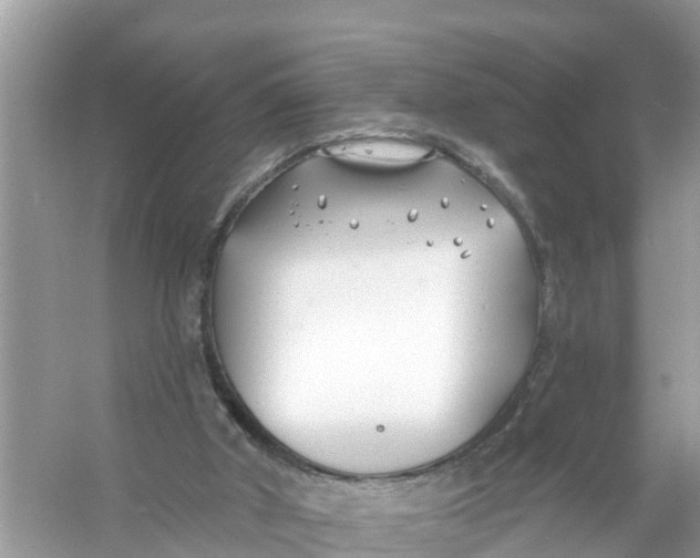 X0000056010010200509162356