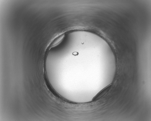 X0000056010011200509162356