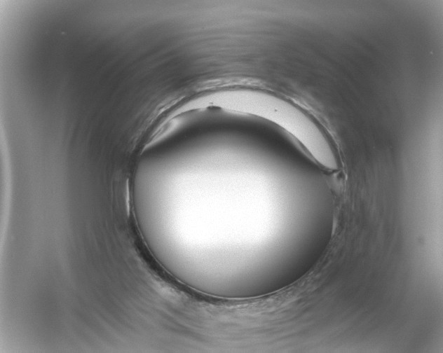 X0000056010013200509162356