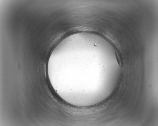 X0000056010014200509162356