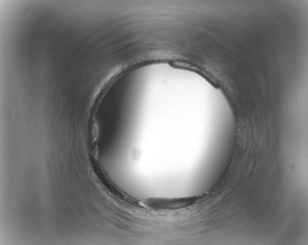 X0000056010015200509162356