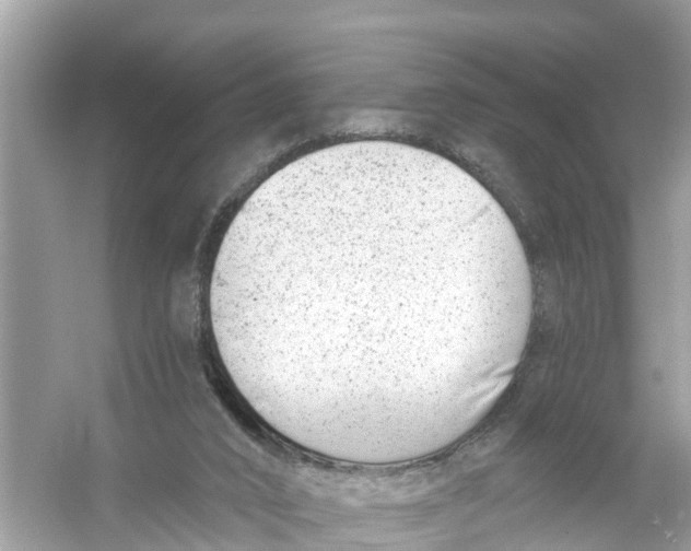 X0000056010016200509162356