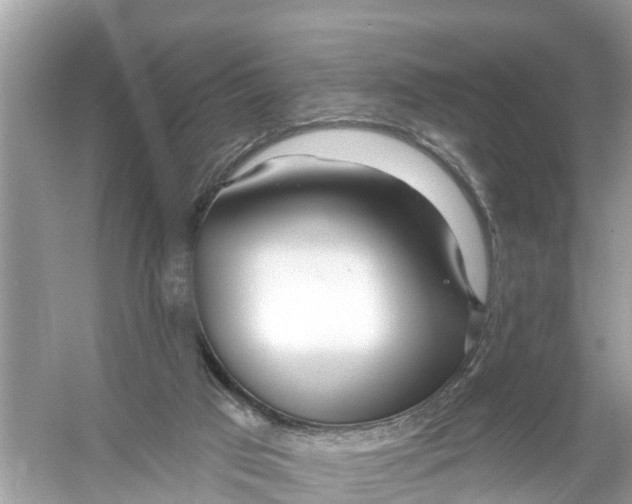 X0000056010017200509162356