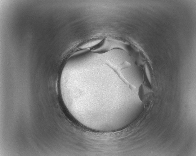 X0000056010019200509162356